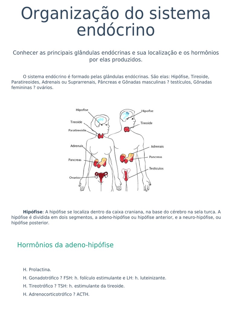 Glándula tiroides: Anatomía, hístologia, hormonas | Kenhub, image size:768x1024