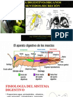 Clase Organos de Los Sentidos 6