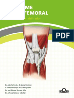 Guia-Sindrome-Patelofemoral-Grunethal (1).pdf
