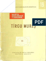 Targu Mures.pdf