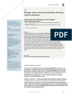 Biología, Cultivo y Funciones Medicinales Del Hongo Hericium Erinaceum PDF