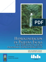 Hidrogeneración en Pequeña Escala