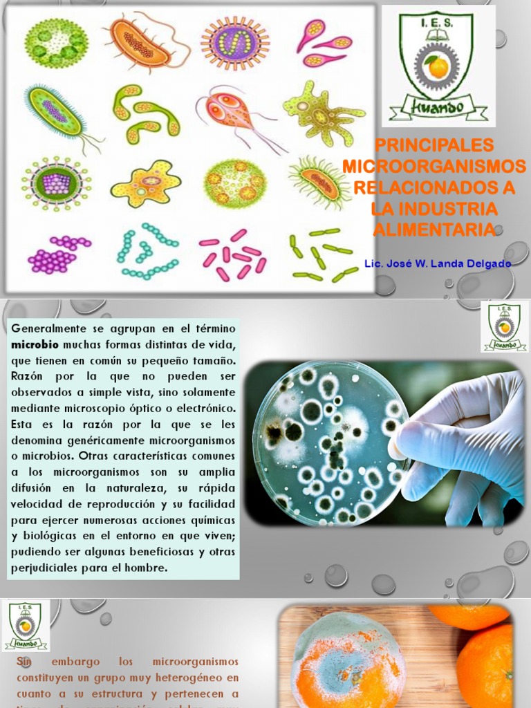 Microorganismos en la Industria Alimentaria | PDF | Las bacterias ...