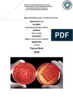 Informe de Laboratorio 1