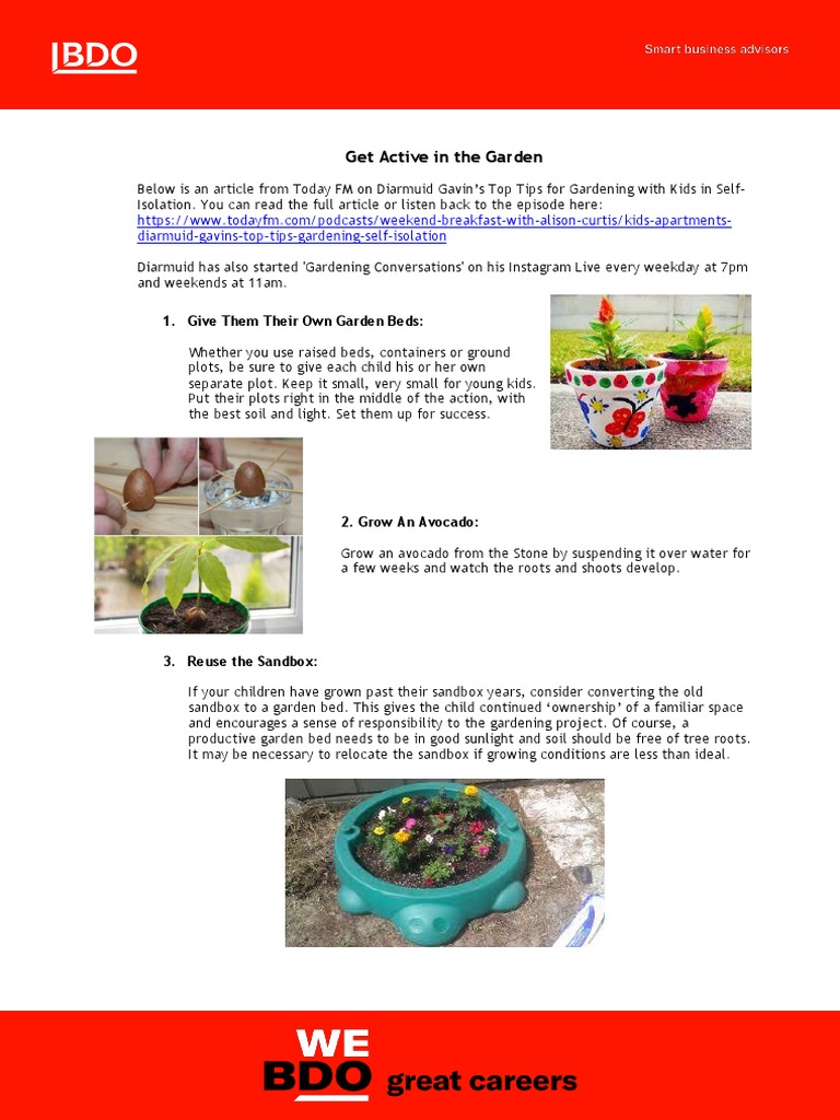 Gardening Tips for Kids at Home | PDF | Seed | Gardens