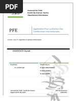 raportpfe-120619040946-phpapp02.pdf