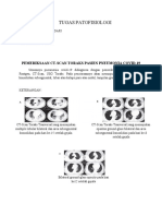 Restu Wulandari (191104170) Radiologi B