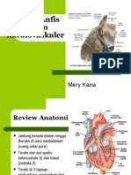 Review Anfis Sistem Kardiovaskuler