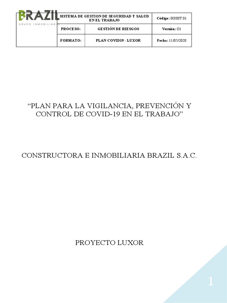 Plan Covid19-Luxor RJP 2 | PDF | Lavado de manos | Salud pública