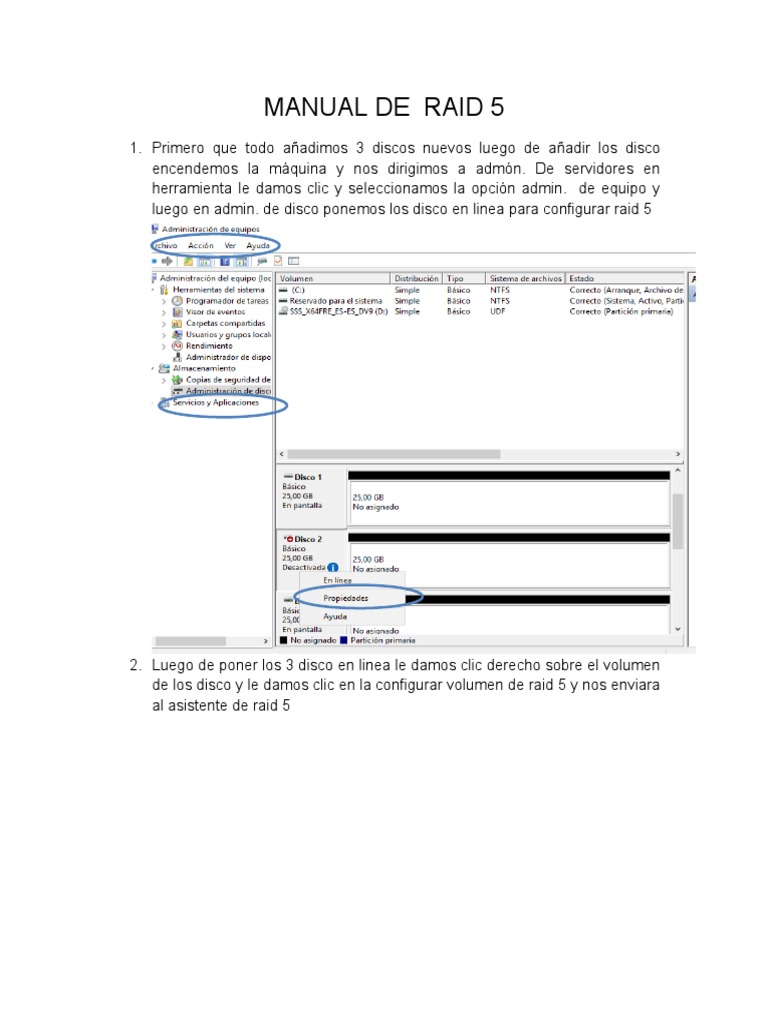 Manual de Raid 5 | PDF | Tecnología