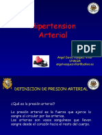 hipertension arterial - animales de experimentacion