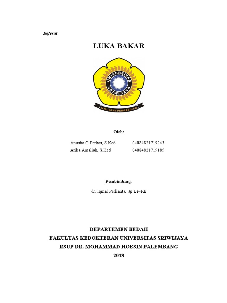 387865501 Referat Luka Bakar Docx