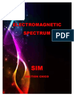 Electro Magnitic Sim