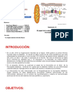 Informe Neuropatia Diabetica