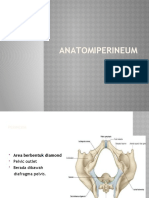 Anatomi PPT Nisa