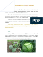 Legume de Primavara - Joi PDF