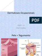 PDPT 4 - Dermatoses Ocupacionais[1]