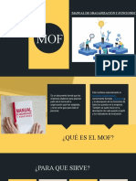 Manual de Oraganización Y Funciones