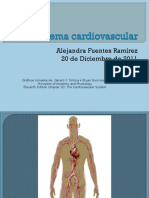 Sistema Cardiovascular