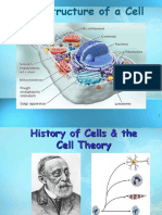 cellstructure.ppt