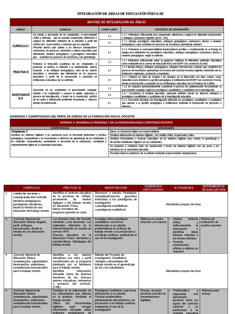 Matriz de Integración Educativa Física | PDF | Plan de estudios | Paradigma