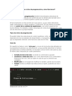 Que son los ciclos de programación y cómo funcionan.docx