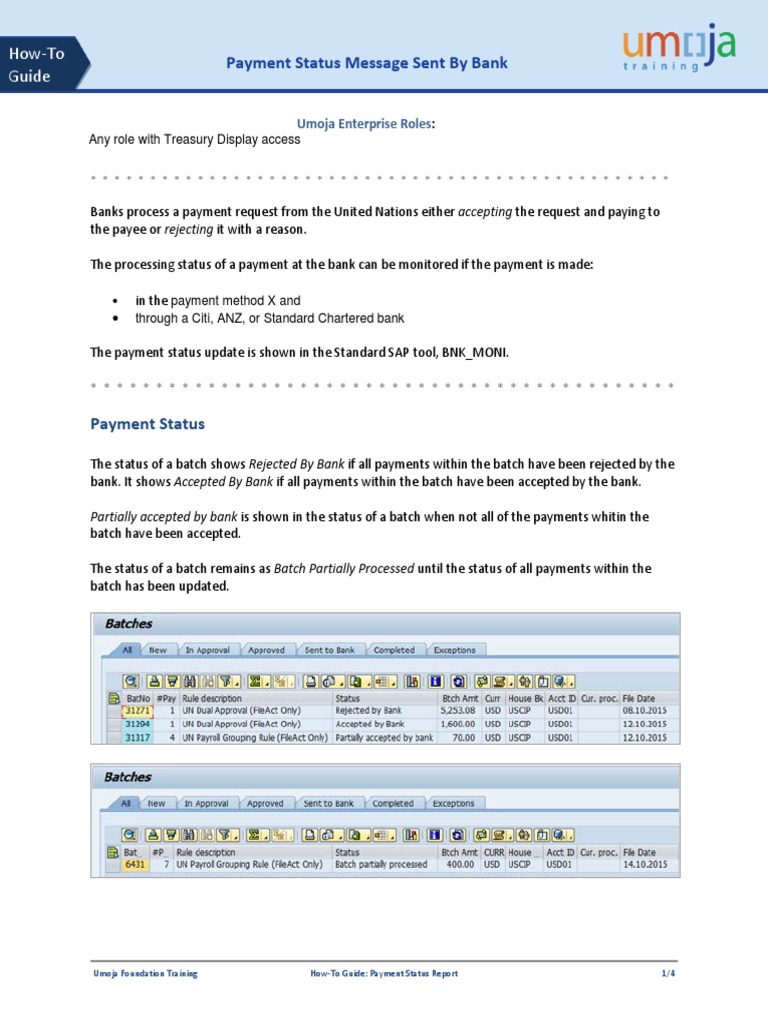 Payment Status Report Guide | PDF | Payments | Services (Economics)