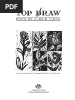 Drawing Aussie Flora: Australian National Botanic Gardens