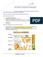 Rel - S5 - Tarea Bien Comun en La Historia Del Pensamiento