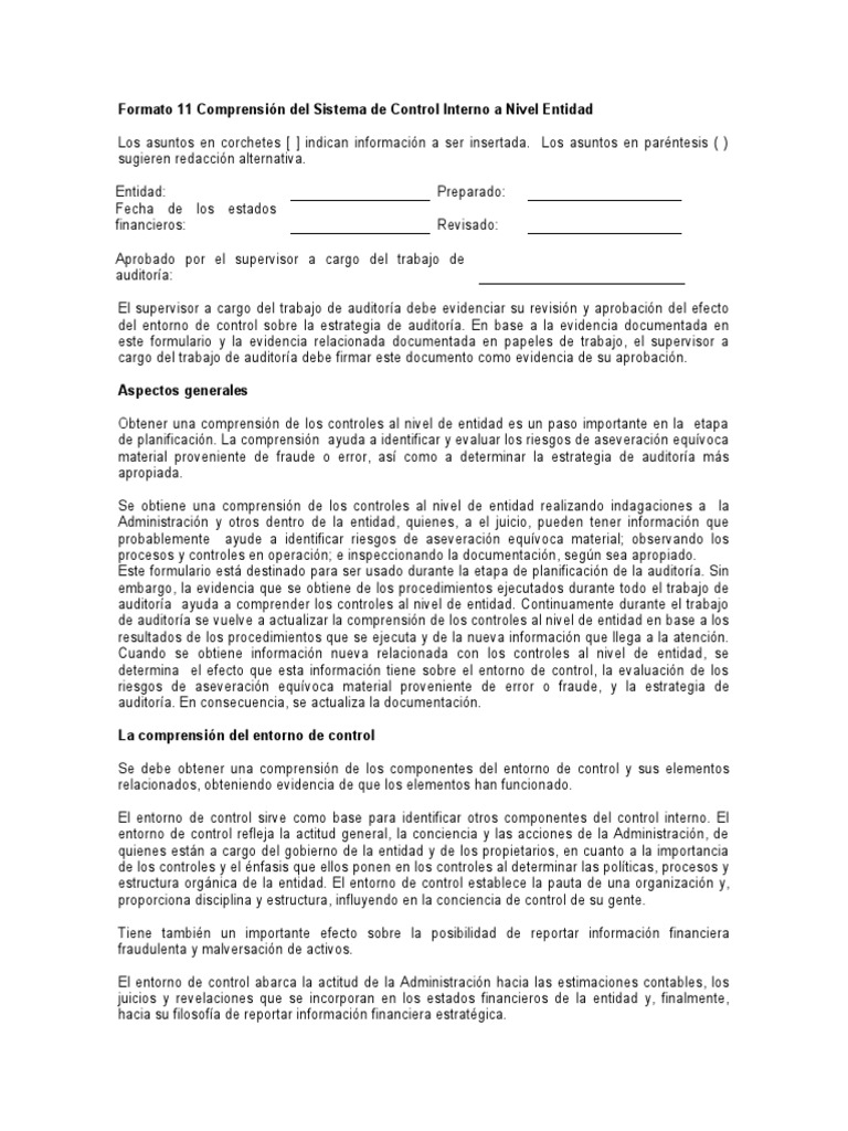 Formato 11: Control Interno en Auditoría | PDF | Auditoría | Gestión de ...