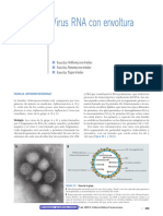 Virus RNA con envoltura.pdf