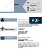 Curriculum Vitae Format2