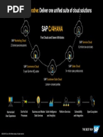 C/4Hana: Strategic Imperative