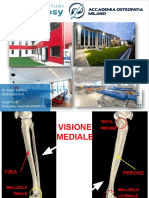 Dott. Buzzi Anatomia Muscoloscheletrica - Gamba e Piede