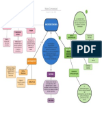 Mapa Conceptual