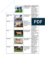 Cuadro Comparativo Vacas Lecheras