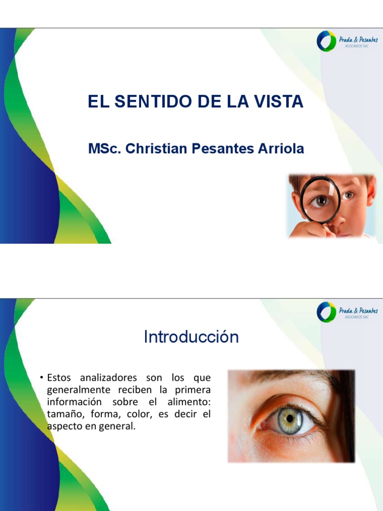 Sentido de La Vista | Descargar gratis PDF | Ojo humano | Percepción visual