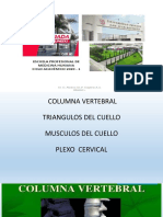 Columna Cervical PDF