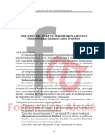 manual-otorrinolaringologia-practica-medicos
