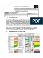 Consulta 34 Columna Estratigrafica