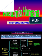 Anatomía Humana Sistema Nervioso