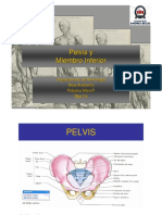 Clase IV Pelvis y MMII PDF