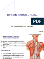 17118956-Region-Dorsal-y-Nuca-Dr-Sandoval