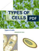 Types of Cells