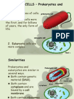 TYPES OF CELLS - Prokaryotes and Eukaryotes