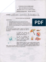 Desarrollo Guias Ciencias naturales  Por Julian camilo rodriguez Olis.pdf