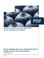 Aspectos Claves para La Obtención de Un Arándano de Calidad. Defilippi. Mayo 2018