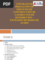 Informe Acero_PA.pptx