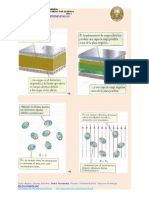 Dielectricos 18 2