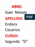 Tarea de Gael Endara Cocarico PDF